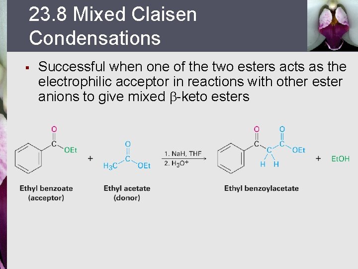 23. 8 Mixed Claisen Condensations § Successful when one of the two esters acts