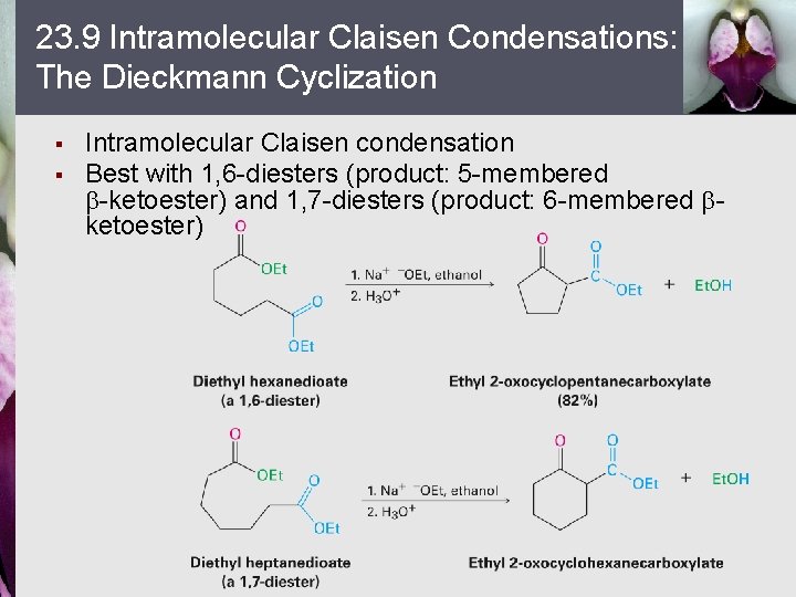 23. 9 Intramolecular Claisen Condensations: The Dieckmann Cyclization § § Intramolecular Claisen condensation Best
