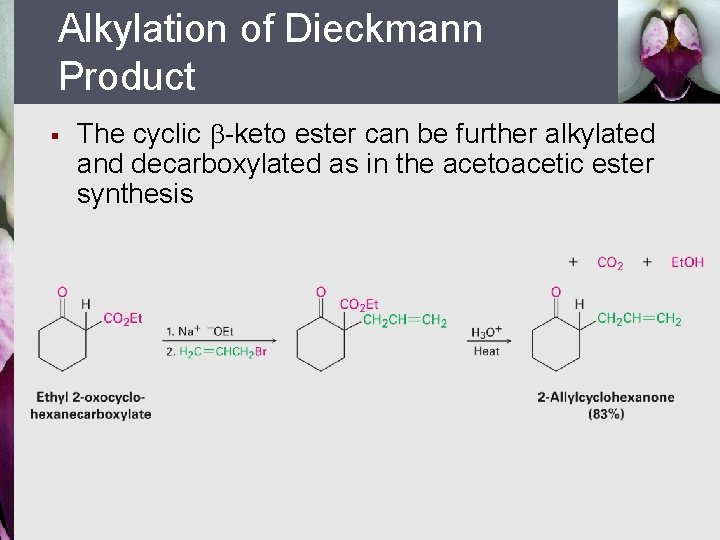 Alkylation of Dieckmann Product § The cyclic -keto ester can be further alkylated and