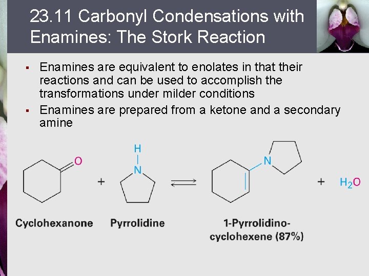 23. 11 Carbonyl Condensations with Enamines: The Stork Reaction § § Enamines are equivalent