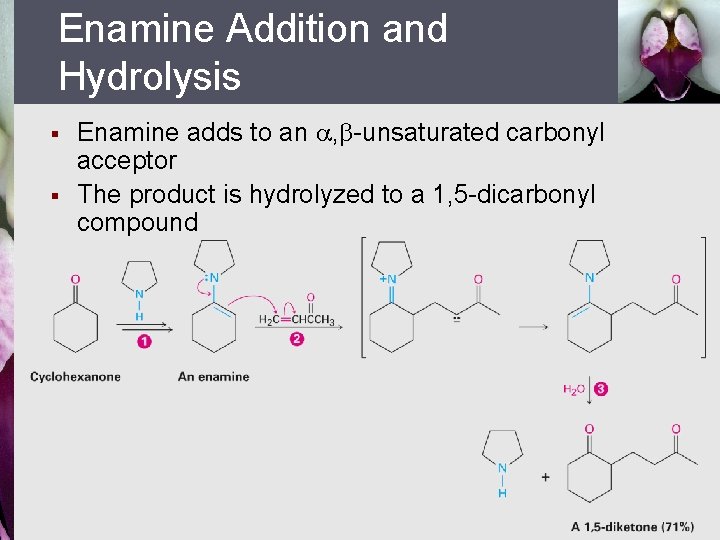 Enamine Addition and Hydrolysis § § Enamine adds to an , -unsaturated carbonyl acceptor