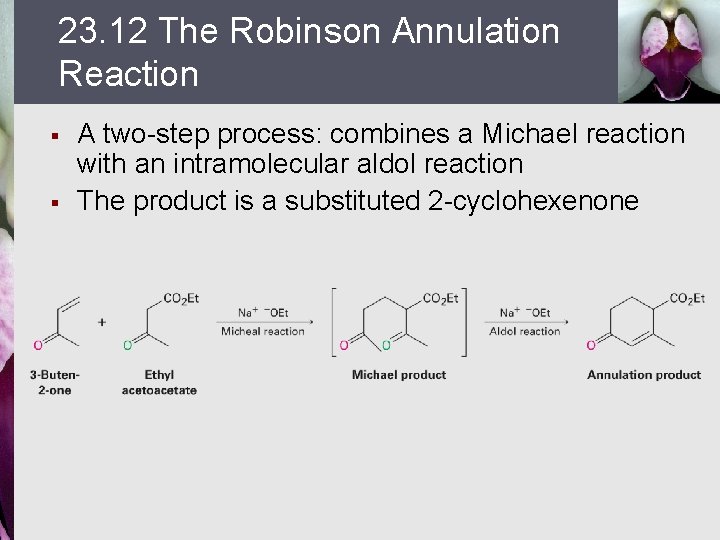 23. 12 The Robinson Annulation Reaction § § A two-step process: combines a Michael