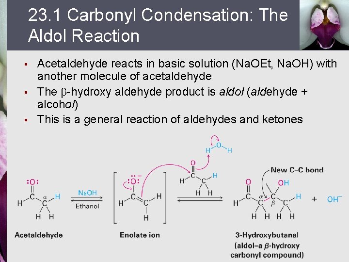 23. 1 Carbonyl Condensation: The Aldol Reaction § § § Acetaldehyde reacts in basic