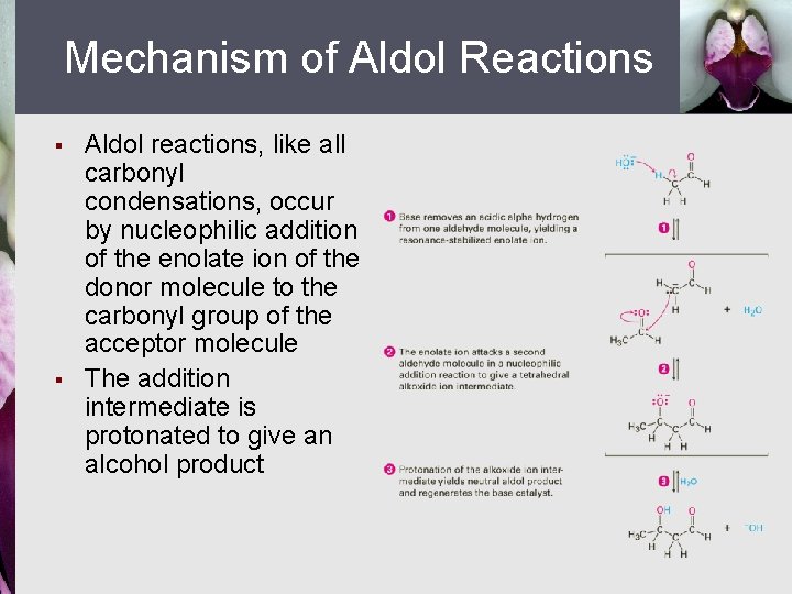 Mechanism of Aldol Reactions § § Aldol reactions, like all carbonyl condensations, occur by