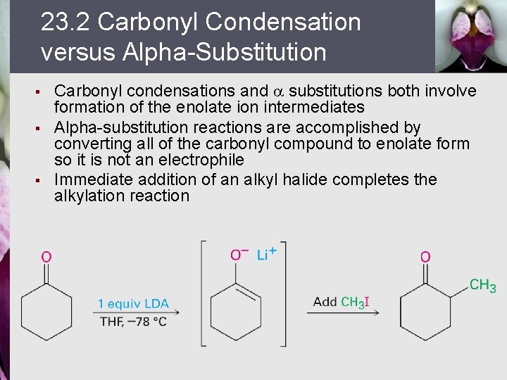 23. 2 Carbonyl Condensation versus Alpha-Substitution § § § Carbonyl condensations and substitutions both