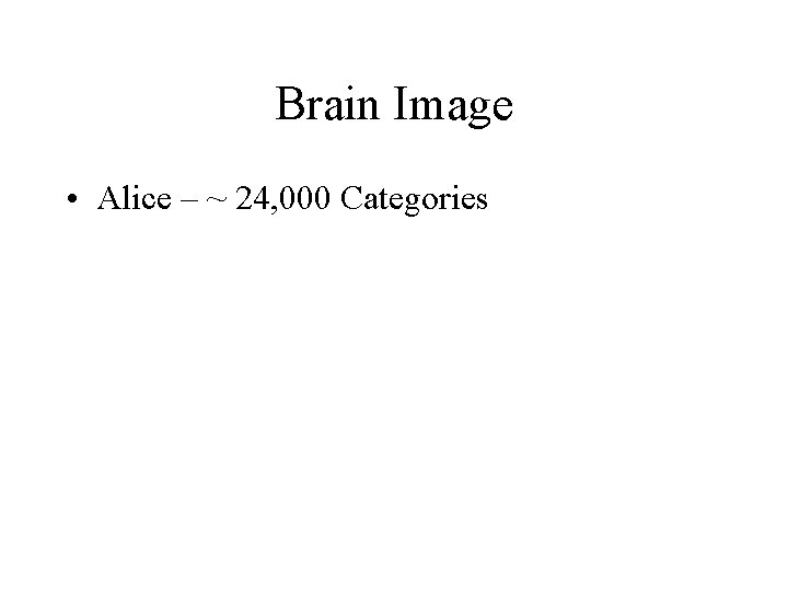 Brain Image • Alice – ~ 24, 000 Categories 