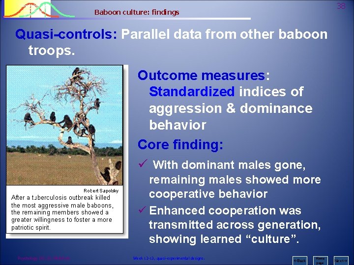 Psychology 242 Introduction to Research 38 Baboon culture: findings Quasi-controls: Parallel data from other
