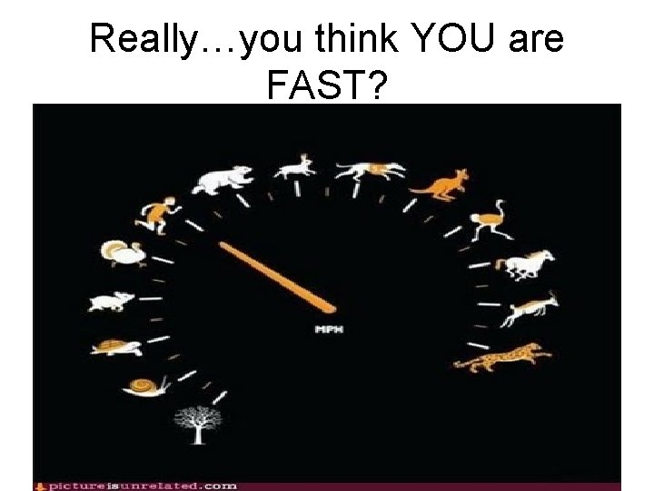 Really…you think YOU are FAST? 