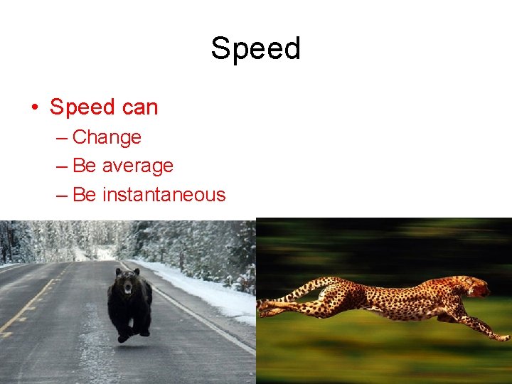 Speed • Speed can – Change – Be average – Be instantaneous 