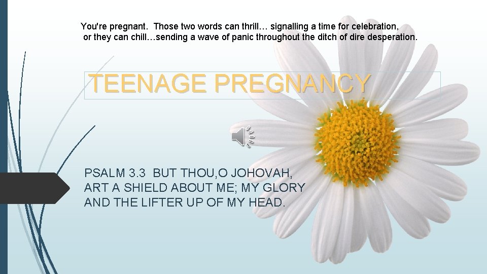 You're pregnant. Those two words can thrill… signalling a time for celebration, or they