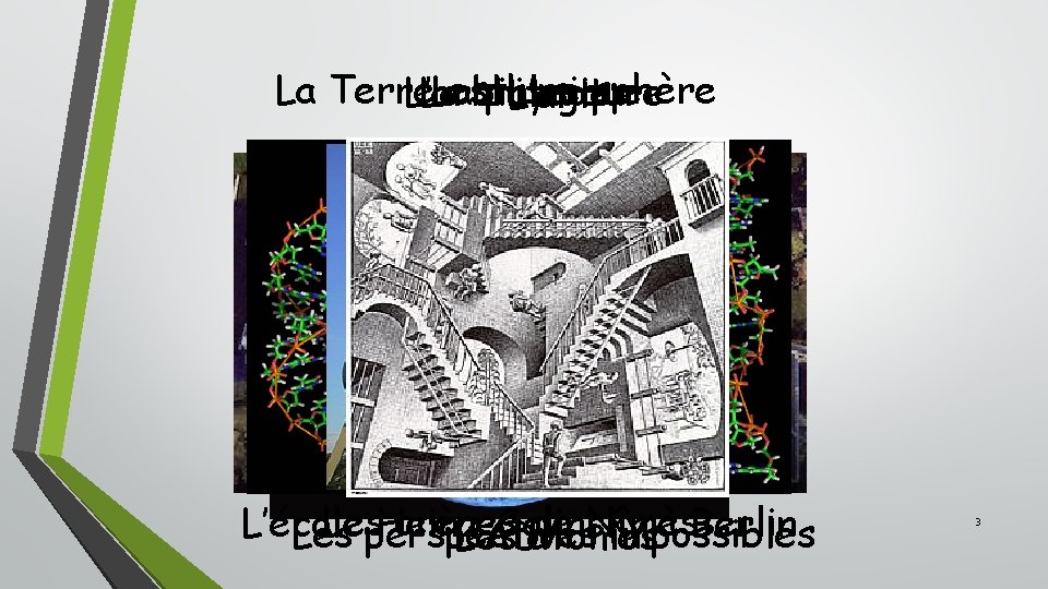 La Terre est une sphère La physique L’architecture La biologie L’art Lesperspectives arènes de