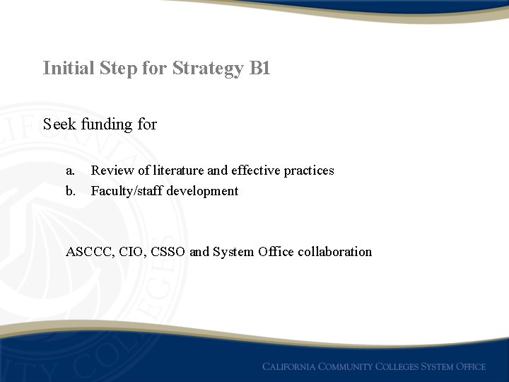 Initial Step for Strategy B 1 Seek funding for a. b. Review of literature