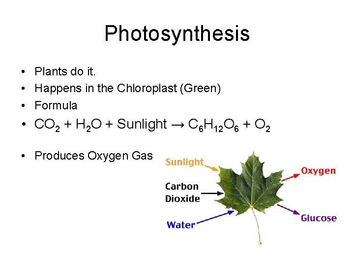 Photosynthesis • Plants do it. • Happens in the Chloroplast (Green) • Formula •