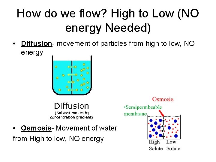 How do we flow? High to Low (NO energy Needed) • Diffusion- movement of