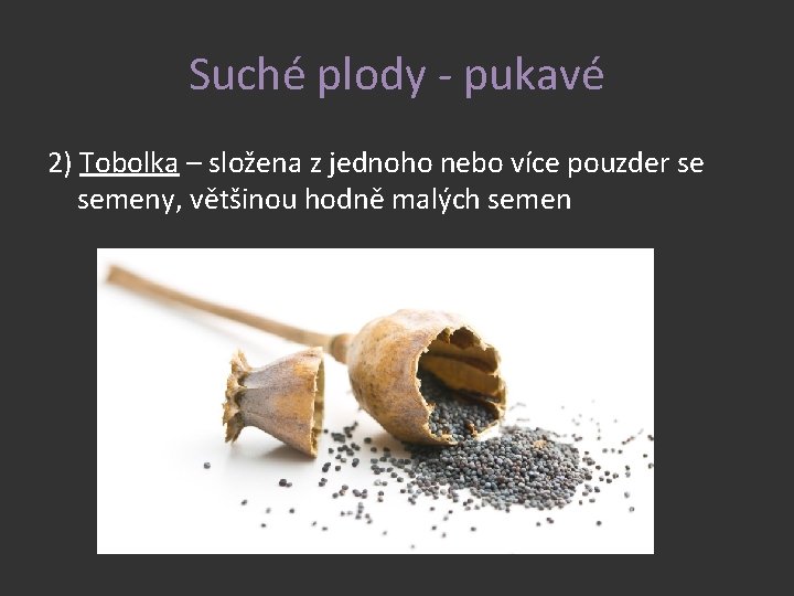 Suché plody - pukavé 2) Tobolka – složena z jednoho nebo více pouzder se