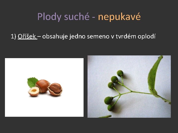 Plody suché - nepukavé 1) Oříšek – obsahuje jedno semeno v tvrdém oplodí 