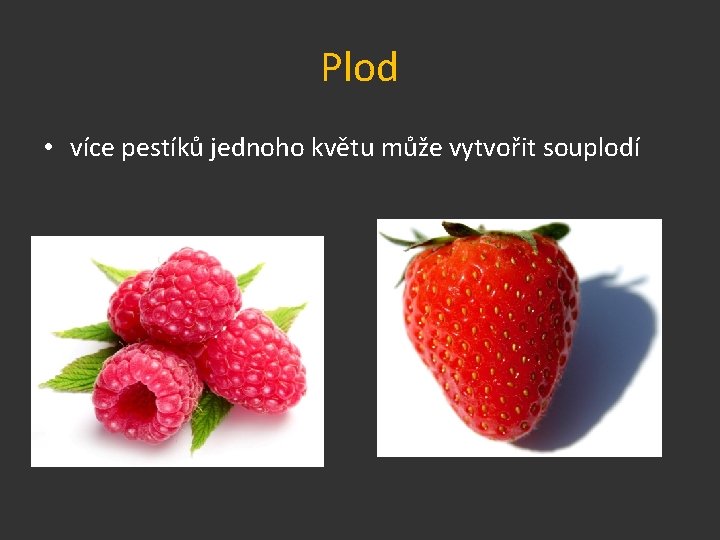 Plod • více pestíků jednoho květu může vytvořit souplodí 