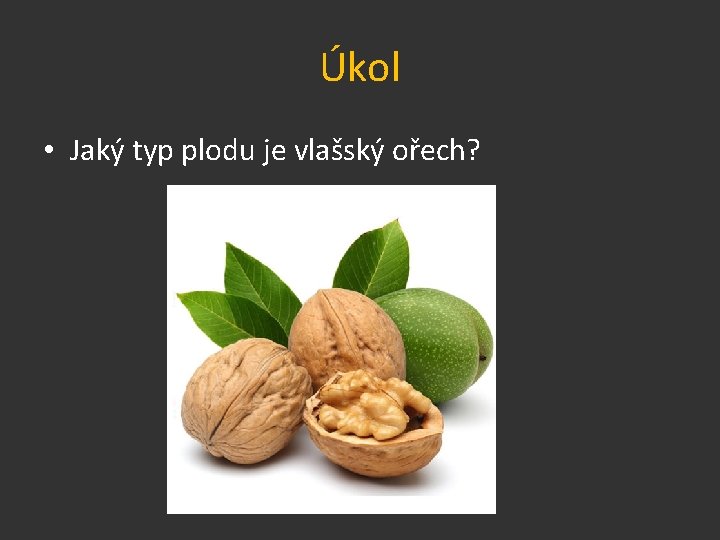 Úkol • Jaký typ plodu je vlašský ořech? 