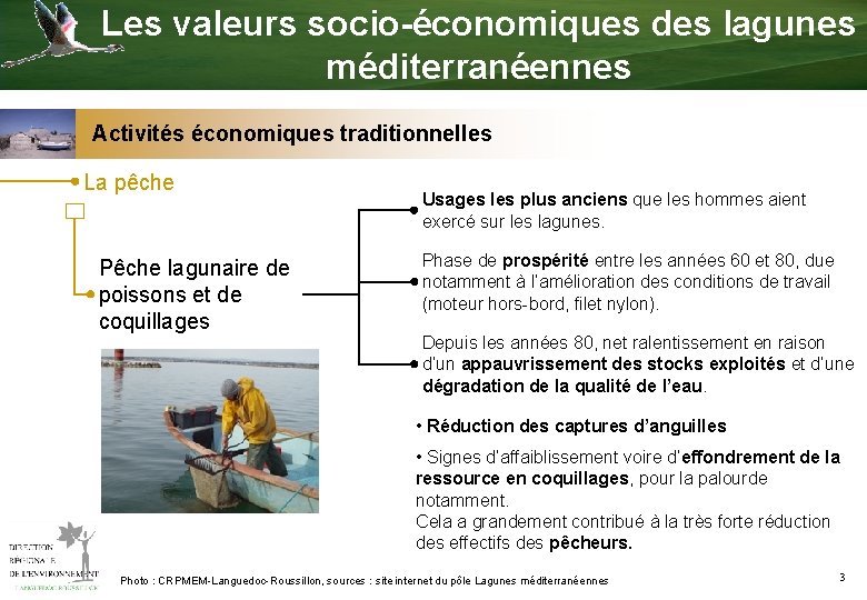 Les valeurs socio-économiques des lagunes méditerranéennes Activités économiques traditionnelles La pêche Pêche lagunaire de