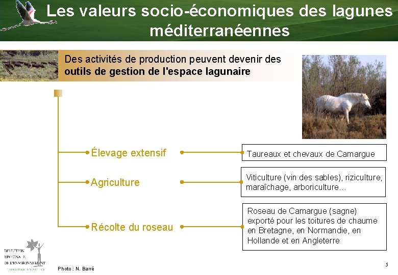 Les valeurs socio-économiques des lagunes méditerranéennes Des activités de production peuvent devenir des outils