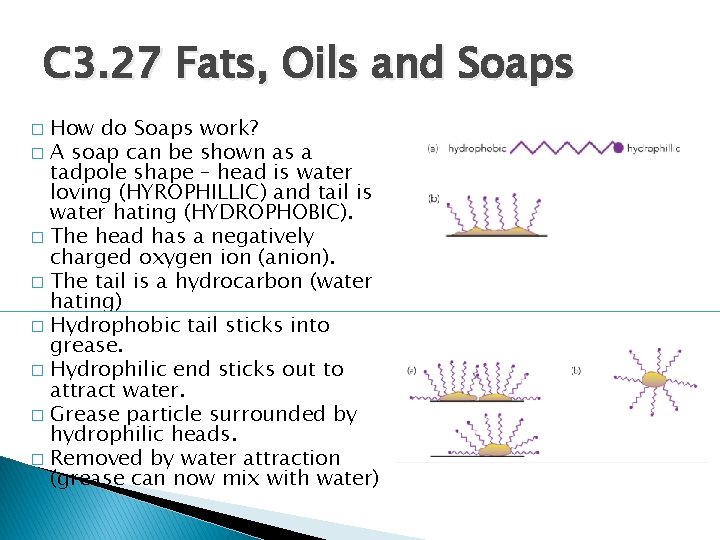 C 3. 27 Fats, Oils and Soaps How do Soaps work? � A soap
