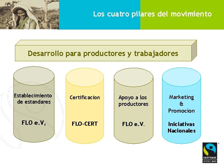 Los cuatro pilares del movimiento Desarrollo para productores y trabajadores Establecimiento de estandares Certificacion