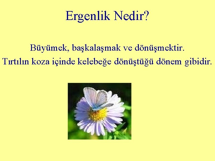 Ergenlik Nedir? Büyümek, başkalaşmak ve dönüşmektir. Tırtılın koza içinde kelebeğe dönüştüğü dönem gibidir. 