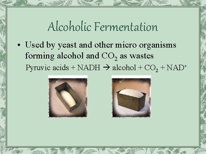 Alcoholic Fermentation • Used by yeast and other micro organisms forming alcohol and CO