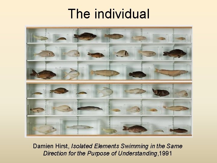 The individual Damien Hirst, Isolated Elements Swimming in the Same Direction for the Purpose