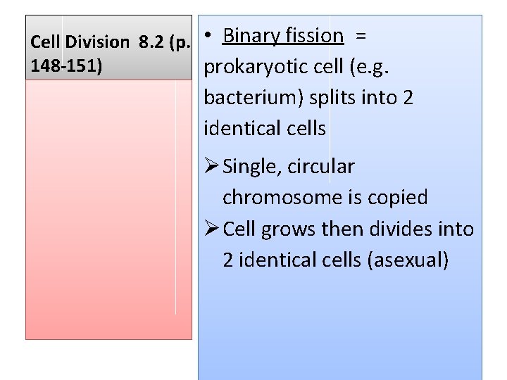 Cell Division 8. 2 (p. • Binary fission = 148 -151) prokaryotic cell (e.