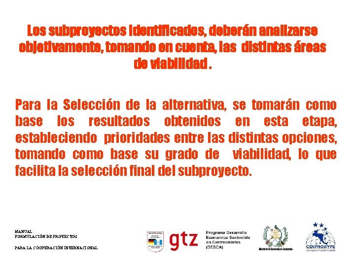 Los subproyectos identificados, deberán analizarse objetivamente, tomando en cuenta, las distintas áreas de viabilidad.