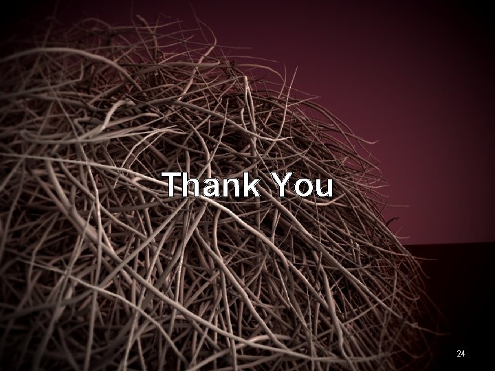 Thank You 24 