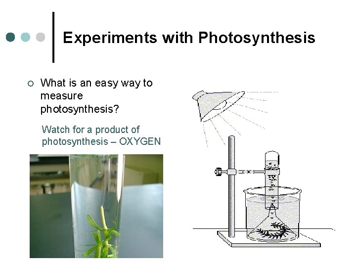 Experiments with Photosynthesis ¢ What is an easy way to measure photosynthesis? Watch for