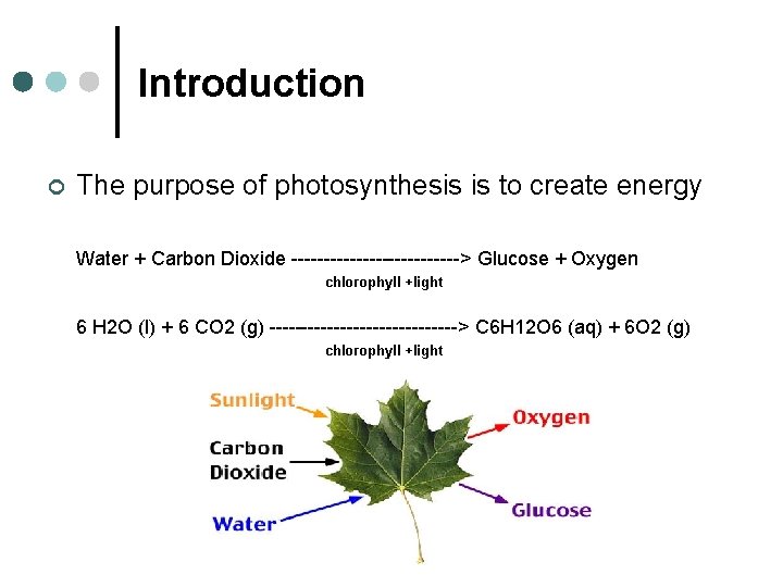 Introduction ¢ The purpose of photosynthesis is to create energy Water + Carbon Dioxide