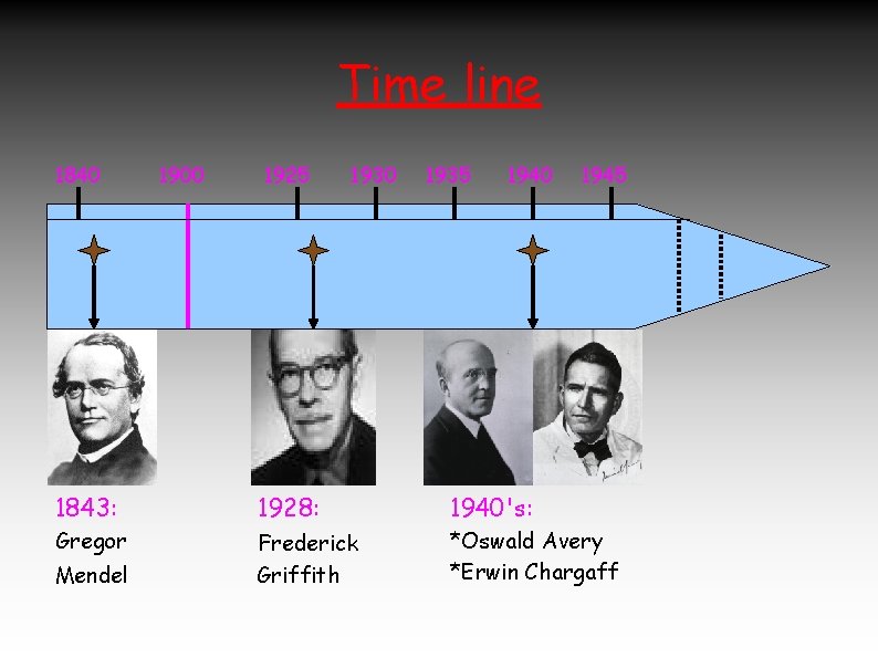 Time line 1840 1900 1925 1930 1935 1940 1945 1843: 1928: 1940's: Gregor Frederick