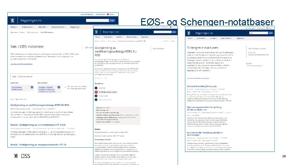 EØS- og Schengen-notatbaser 36 