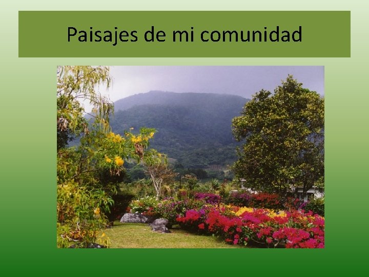 Paisajes de mi comunidad 