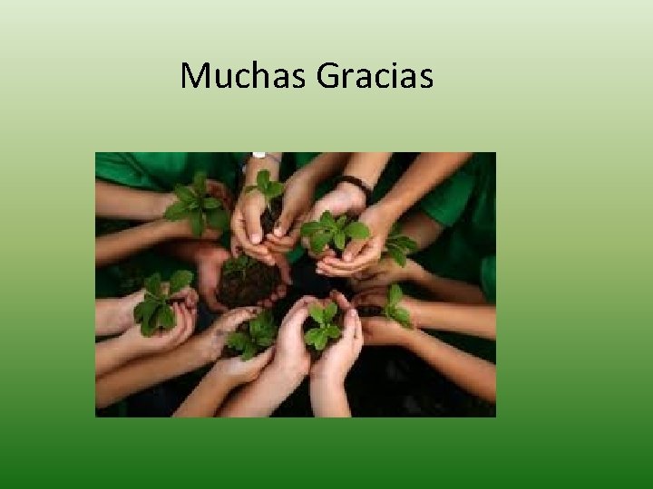 Muchas Gracias 