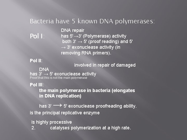 Bacteria have 5 known DNA polymerases: Pol I: DNA repair has 5'→ 3' (Polymerase)