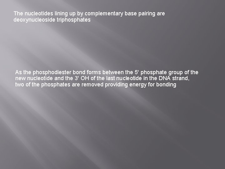 The nucleotides lining up by complementary base pairing are deoxynucleoside triphosphates As the phosphodiester