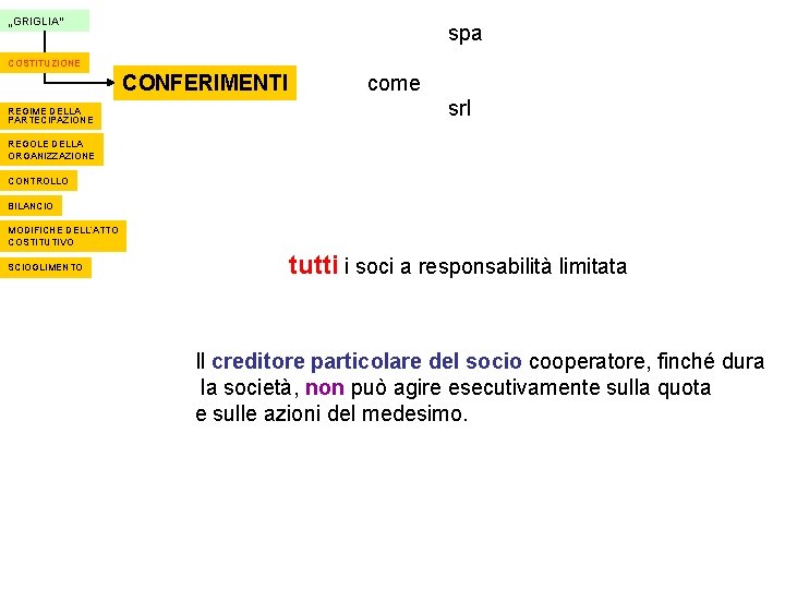 „GRIGLIA“ spa COSTITUZIONE CONFERIMENTI REGIME DELLA PARTECIPAZIONE come srl REGOLE DELLA ORGANIZZAZIONE CONTROLLO BILANCIO