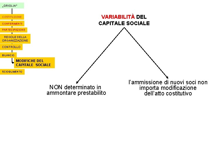 „GRIGLIA“ VARIABILITÀ DEL CAPITALE SOCIALE COSTITUZIONE CONFERIMENTI PARTECIPAZIONE REGOLE DELLA ORGANIZZAZIONE CONTROLLO BILANCIO MODIFICHE