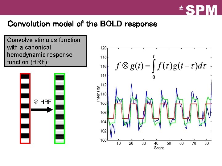 Convolution model of the BOLD response Convolve stimulus function with a canonical hemodynamic response