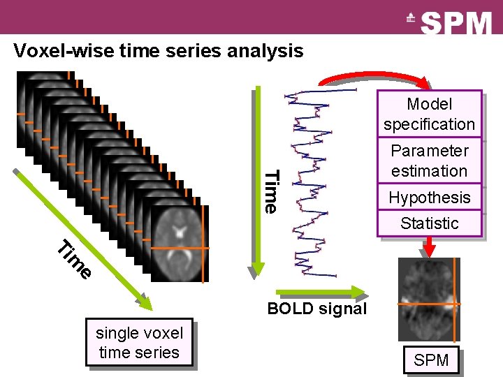 Voxel-wise time series analysis Model specification Time Parameter estimation Hypothesis Statistic e m Ti