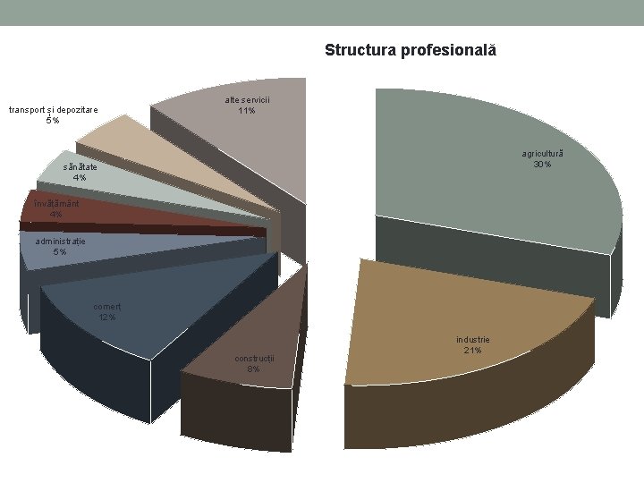 Structura profesională transport și depozitare 5% alte servicii 11% agricultură 30% sănătate 4% învățământ