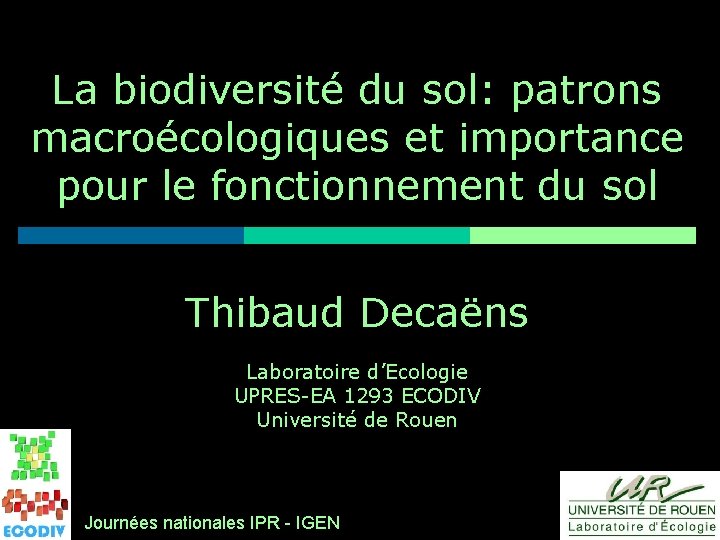 La biodiversité du sol: patrons macroécologiques et importance pour le fonctionnement du sol Thibaud