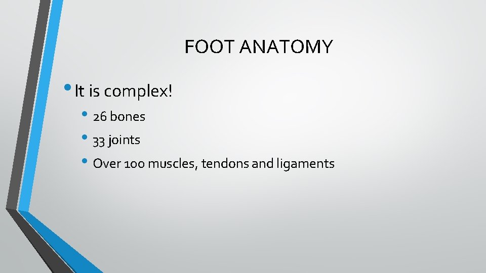 FOOT ANATOMY • It is complex! • 26 bones • 33 joints • Over FOOT ANATOMY • It is complex! • 26 bones • 33 joints • Over