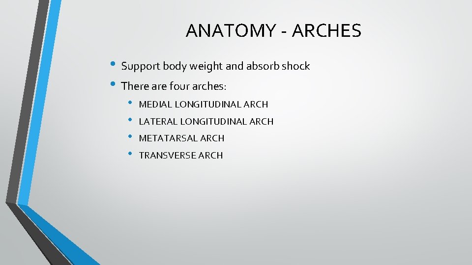 ANATOMY - ARCHES • Support body weight and absorb shock • There are four ANATOMY - ARCHES • Support body weight and absorb shock • There are four