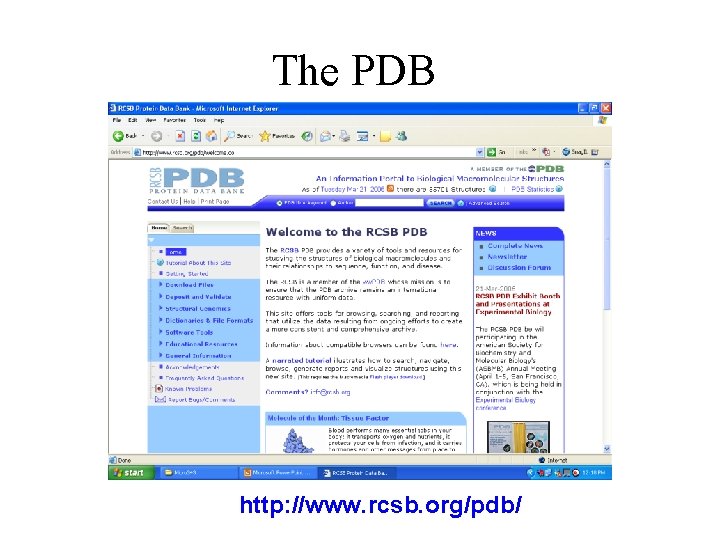 The PDB http: //www. rcsb. org/pdb/ 