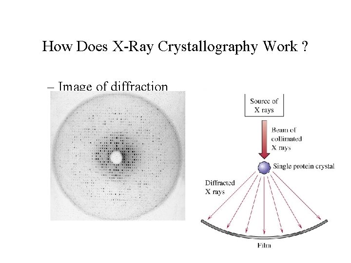 How Does X-Ray Crystallography Work ? – Image of diffraction 